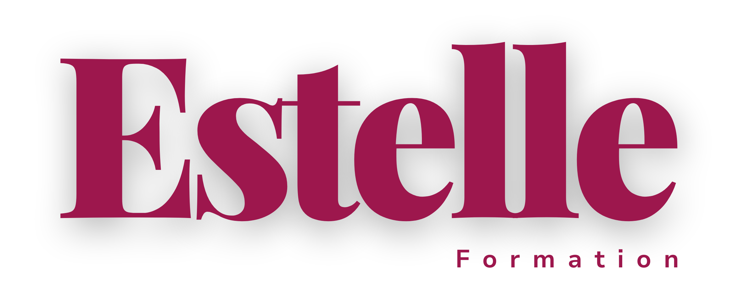 Estelle Laurent Formation réseaux sociaux Coaching réseaux sociaux